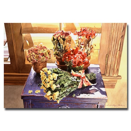 David Lloyd Glover 'Sunshine Roses' Canvas Art,18x24